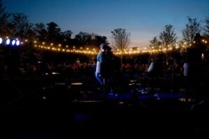 artist performing on stage at mclemore songwriters series lookout chattanooga